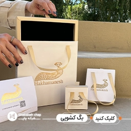 شاپینگ بگ
