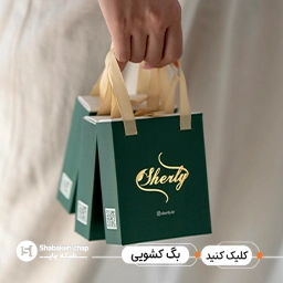 شاپینگ بگ
