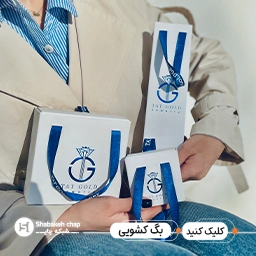 شاپینگ بگ