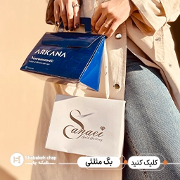 شاپینگ بگ