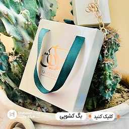 شاپینگ بگ