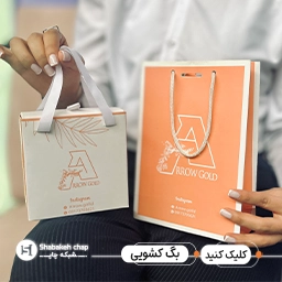 شاپینگ بگ