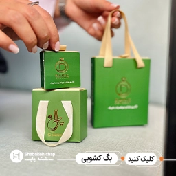 شاپینگ بگ
